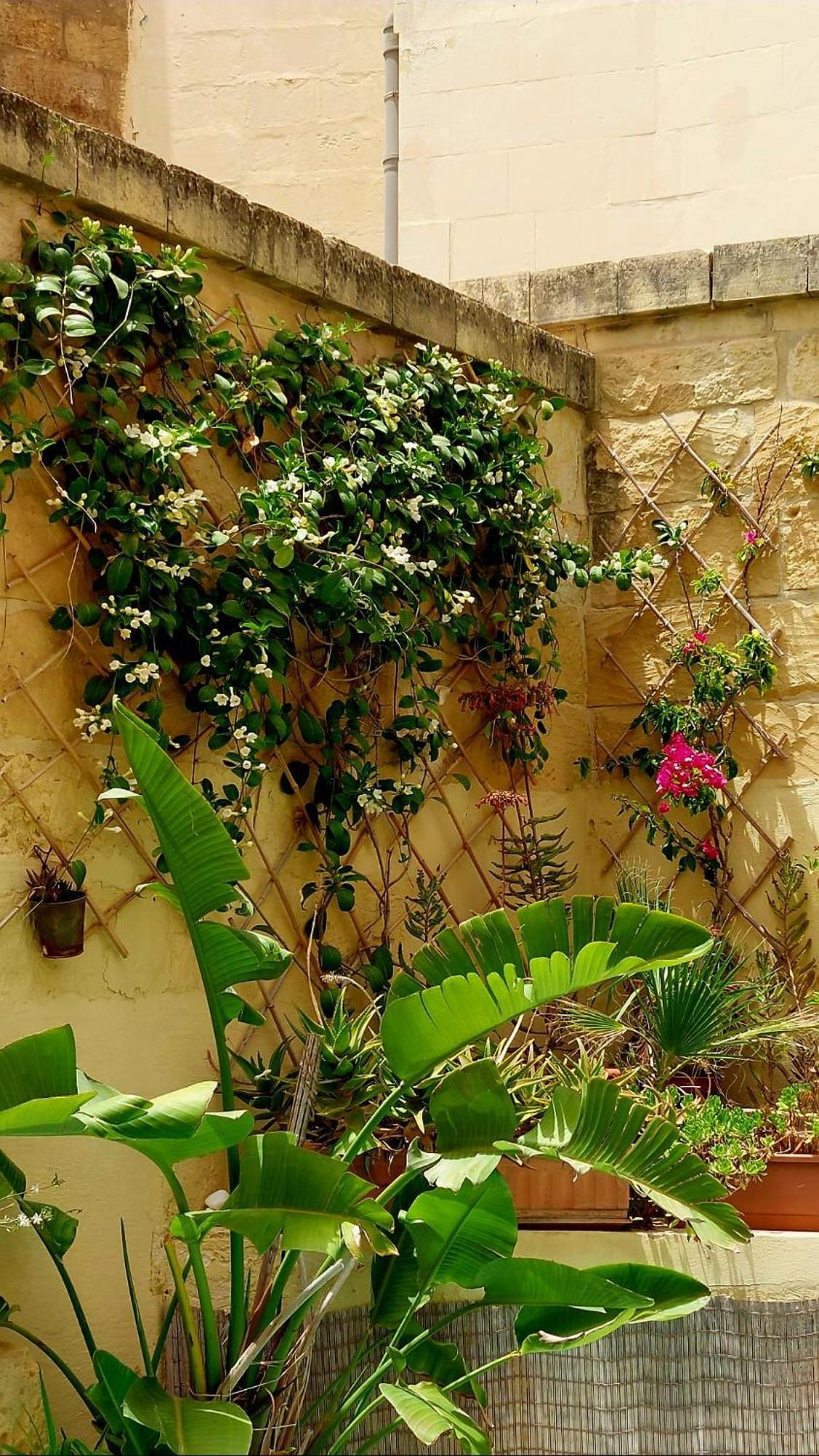 Ta' Didi B&B Kerċem Exterior foto
