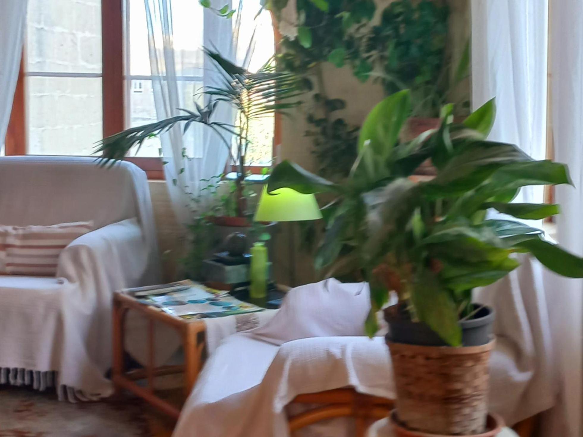 Ta' Didi B&B Kerċem Exterior foto